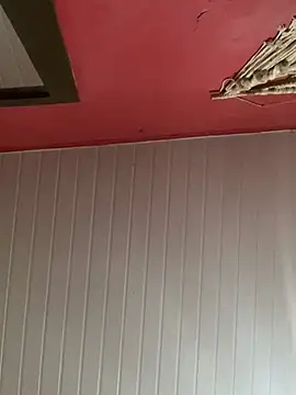 pimenta gaby online show from 6, 8, 2026