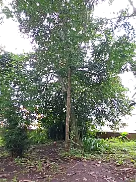 Snapshot of Yuky_ta chatting on 23, 2, 2025 Yuky ta online show from 23, 2, 2025