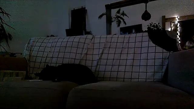 iamsex6969 online show from 15, 4, 2026