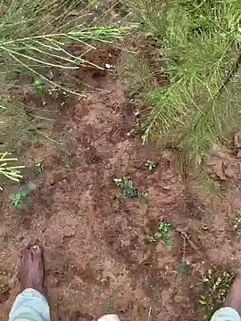 Snapshot of Gopal1243 chatting on 9, 12, 2024 Gopal1243 online show from 9, 12, 2024