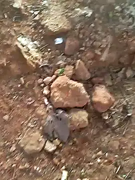 Snapshot of Gopal1243 chatting on 15, 12, 2024 Gopal1243 online show from 15, 12, 2024