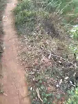 Snapshot of Gopal1243 chatting on 15, 1, 2025 Gopal1243 online show from 15, 1, 2025