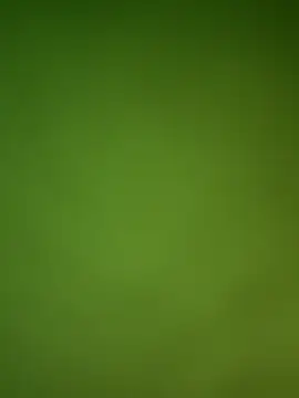 Snapshot of Gopal1243 chatting on 29, 1, 2025 Gopal1243 online show from 29, 1, 2025