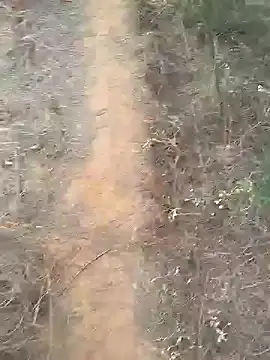 Snapshot of Gopal1243 chatting on 10, 2, 2025 Gopal1243 online show from 10, 2, 2025