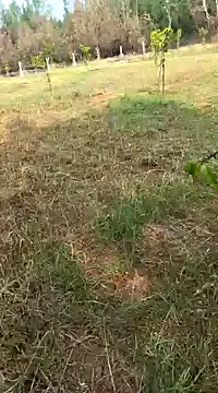 Snapshot of Gopal1243 chatting on 11, 2, 2025 Gopal1243 online show from 11, 2, 2025