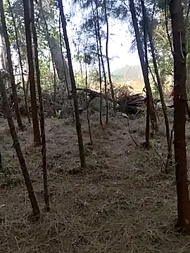 Snapshot of Gopal1243 chatting on 26, 2, 2025 Gopal1243 online show from 26, 2, 2025