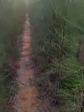 Snapshot of Gopal1243 chatting on 1, 3, 2025 Gopal1243 online show from 1, 3, 2025