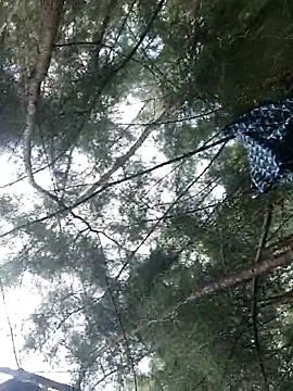 Snapshot of Gopal1243 chatting on 28, 9, 2025 Gopal1243 online show from 28, 9, 2025