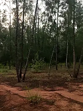 Snapshot of Gopal1243 chatting on 9, 10, 2025 Gopal1243 online show from 9, 10, 2025