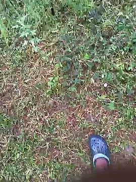 Snapshot of Gopal1243 chatting on 27, 10, 2025 Gopal1243 online show from 27, 10, 2025