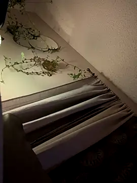 Snapshot of ClumsyLink chatting on 11, 10, 2025 ClumsyLink online show from 11, 10, 2025