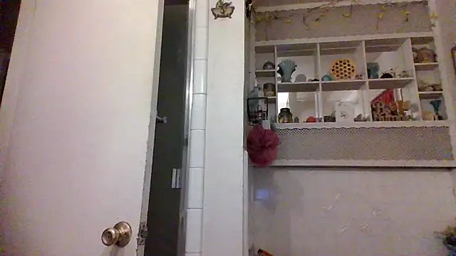 Snapshot of ClumsyLink chatting on 26, 10, 2025 ClumsyLink online show from 26, 10, 2025