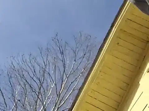 Snapshot of highstepper500 chatting on 26, 12, 2024 highstepper500 online show from 26, 12, 2024