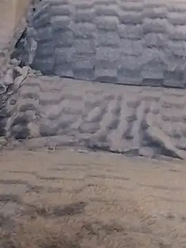 LoGaNfree88 online show from 13, 4, 2026