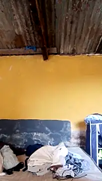 LULE37587001 online show from 20, 3, 2026