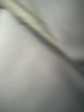 vaness weet online show from 4, 3, 2025