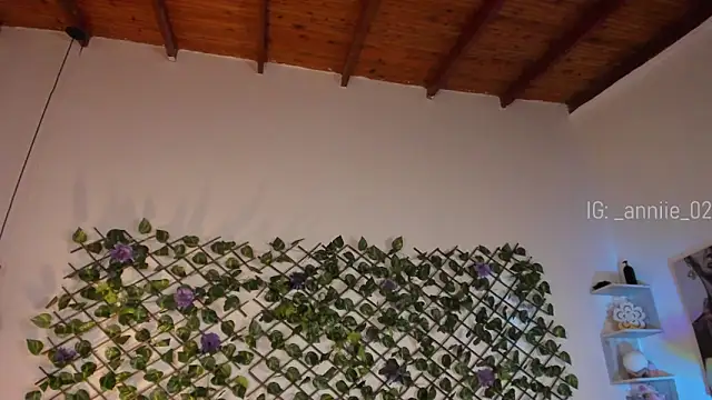 annie barozzi online show from 13, 1, 2025