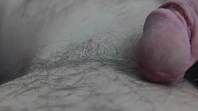 Fist-my-ass online show from 24, 11, 2025