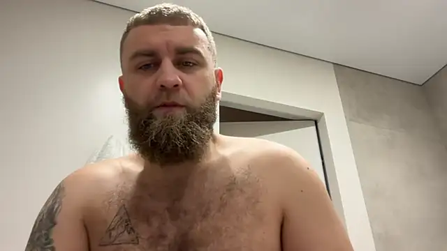 Bear bear  online show from 7, 11, 2025