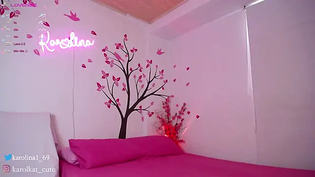 Snapshot of Karolina_1 chatting on 27, 1, 2025 Karolina 1 online show from 27, 1, 2025