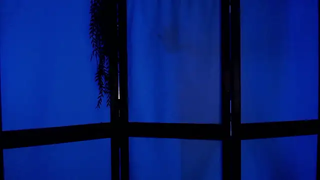 Snapshot of Wildorchid_ chatting on 2, 12, 2024 Wildorchid  online show from 2, 12, 2024