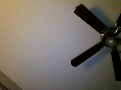 Snapshot of Gerbil8823 chatting on 7, 2, 2025 Gerbil8823 online show from 7, 2, 2025