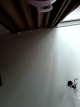 Lovers  Annn online show from 9, 3, 2026