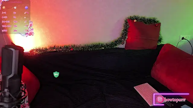 Snapshot of How2Meow chatting on 24, 12, 2024 How2Meow online show from 24, 12, 2024