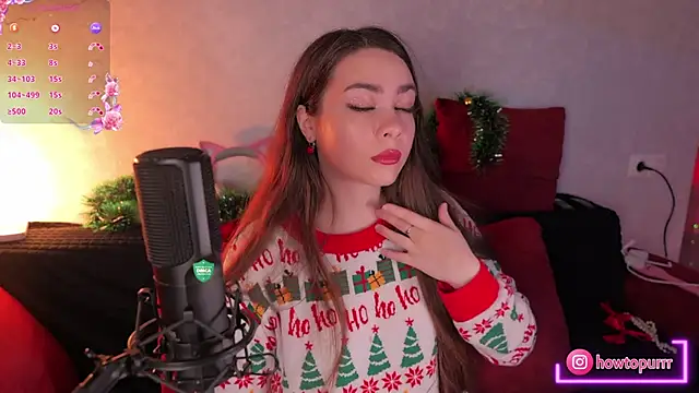 Snapshot of How2Meow chatting on 29, 12, 2024 How2Meow online show from 29, 12, 2024