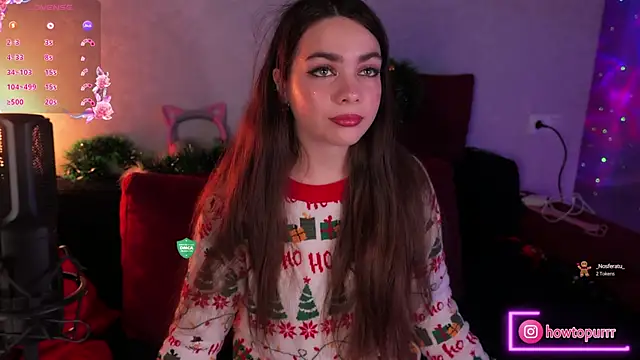 Snapshot of How2Meow chatting on 30, 12, 2024 How2Meow online show from 30, 12, 2024