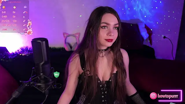 Snapshot of How2Meow chatting on 23, 1, 2025 How2Meow online show from 23, 1, 2025