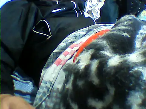 Snapshot of messi_syssy chatting on 25, 9, 2025 messi syssy online show from 25, 9, 2025