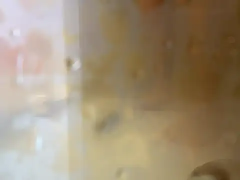 angelus112 online show from 12, 2, 2026