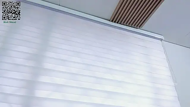 Snapshot of Rick_Diesel_ chatting on 13, 3, 2025 Rick Diesel online show from 13, 3, 2025