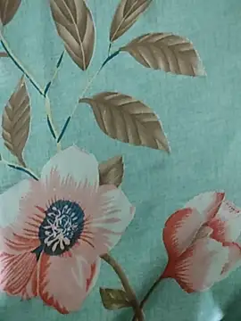 rodhathor online show from 3, 4, 2026