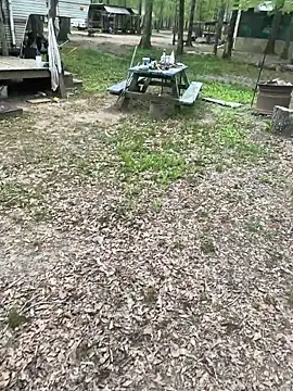 Themechanic420 online show from 4, 4, 2026