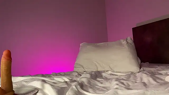 Snapshot of Pi-x-ie chatting on 7, 4, 2026 Pi-x-ie online show from 7, 4, 2026