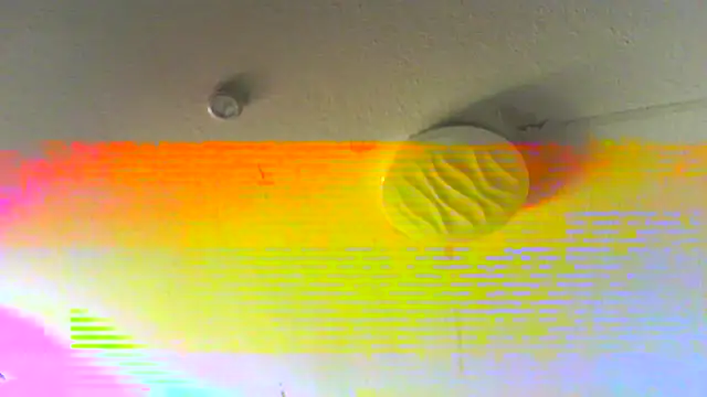 Die-geile-Sau online show from 19, 2, 2025