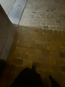 Snapshot of Thepanthera chatting on 22, 9, 2025 Thepanthera online show from 22, 9, 2025