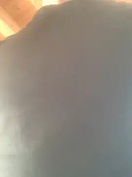 Fellix online show from 17, 2, 2025