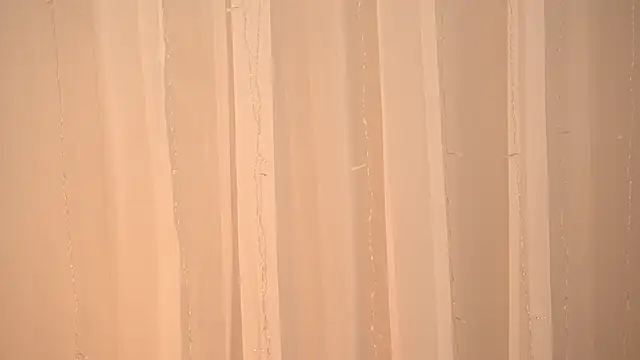 Poni DII online show from 14, 1, 2026