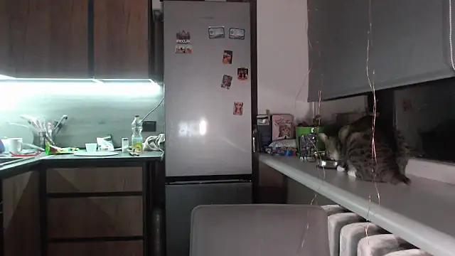 delightful sofi online show from 28, 9, 2025