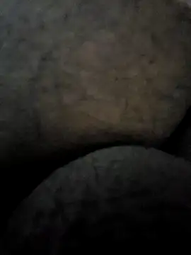 Mallupaiyanaachu online show from 3, 2, 2025