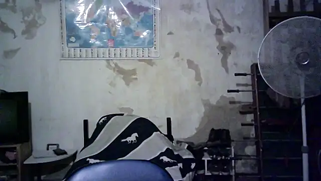 Emv2 online show from 26, 11, 2025