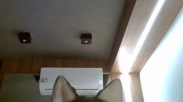 Skinny-Kitten online show from 20, 9, 2025