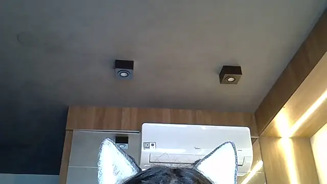 Skinny-Kitten online show from 1, 11, 2025