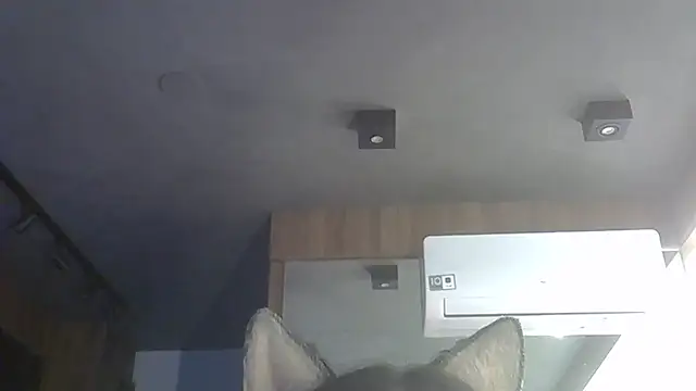 Skinny-Kitten online show from 1, 12, 2025