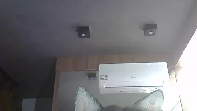 Skinny-Kitten online show from 14, 12, 2025