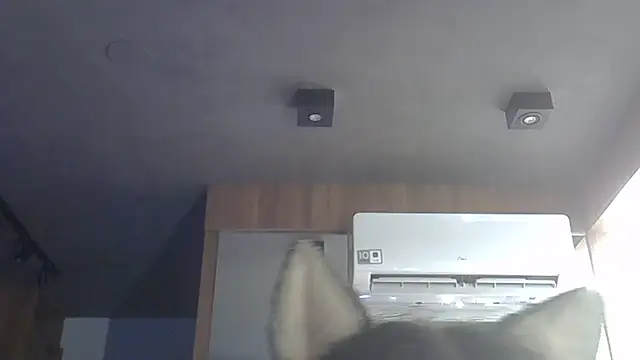 Skinny-Kitten online show from 16, 12, 2025