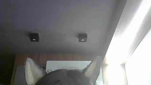 Skinny-Kitten online show from 9, 3, 2026